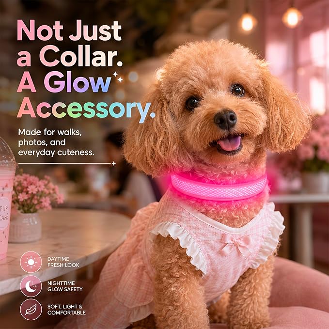 Multicolor LED Dog Collar USB-C Rechargeable, Light Up Dog Collar, Rainbow Gradient Glowing Dog Collar with 4 Light Modes, Adjustable Candy Mesh Pet Collar(Pink, Medium) - Image 3