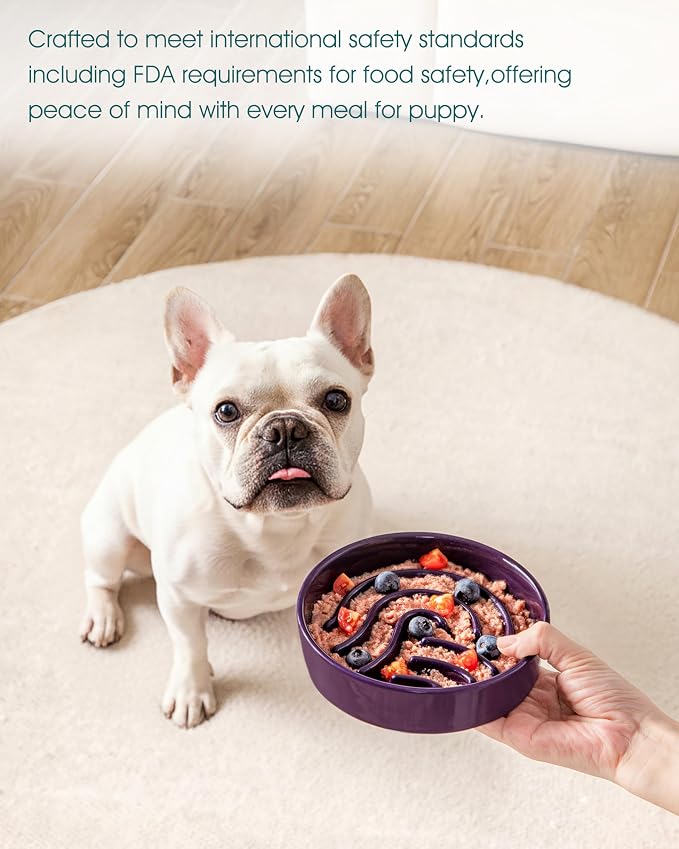 vancasso Slow Feeder Dog Bowl, 0.6 Cup Ceramic Slow Feeding Food Dish for Small Breed, Puzzle Dog Food Bowl for Fast Eater, Dark Purple - Image 6