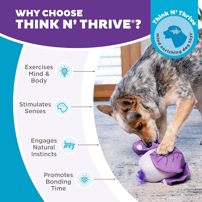 Outward Hound by Nina Ottosson Hide N' Find Interactive Plush Dog Puzzle, Durable Dog Toy, Plush Enrichment Toys, Cauliflower, Purple - Image 6