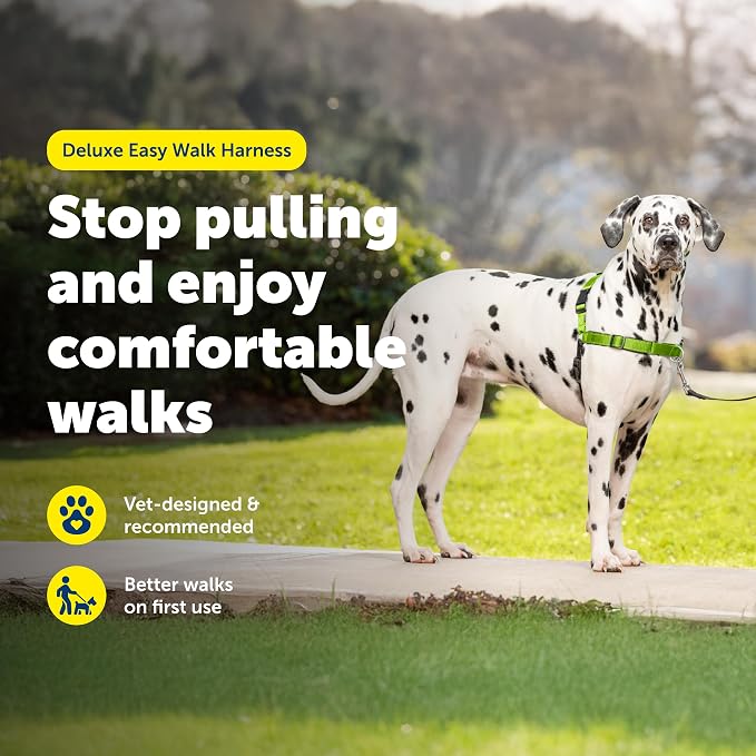 PetSafe Easy Walk Deluxe Dog Harness, No Pull Dog Harness – Perfect for Leash & Harness Training – Stops Pets from Pulling and Choking on Walks – Large, Apple - Image 4