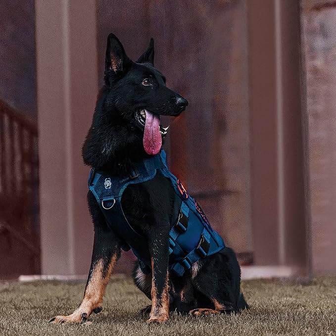 OneTigris Tactical Dog Harness for Small Medium Large Dogs, Mesh Design Service Dog Vest Breathable Military Dogs Molle Vests with Handles, Harness for Walking Hiking Training (Blue, L) - Image 5