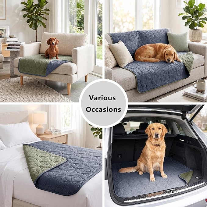 Waterproof Couch Cover for Dogs - Washable Pets Furniture Protector | TPU Leak-Proof Liner, Lightweight & Reversible, Fits Chair, Sofa, Bed, 30" x 30" , Blue/Green - Image 5