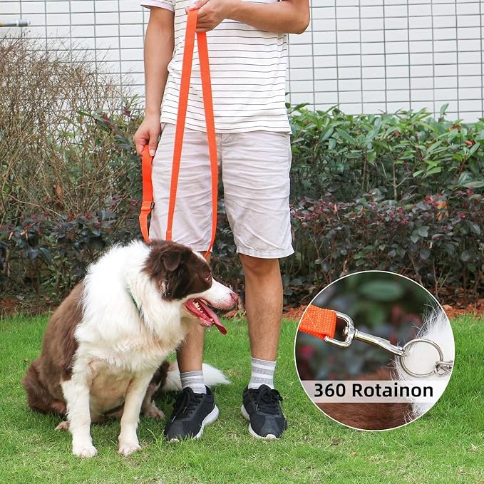 AMAGOOD 6 FT Puppy/Dog Leash, Strong and Durable Traditional Style Leash with Easy to Use Collar Hook, Great for Small, Medium and Large Dogs (3/4 in x 6 ft, Black and Orange 2-Pack) - Image 2