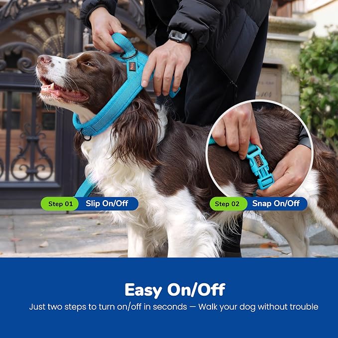 No Pull Dog Harness for Small Dogs, Breathable Mesh Padded, Blue, S | Quick Fit, Easy On and Off, Adjustable, Reflective Vest Harness for Night Safty, Easy for Walking and Training, Chest 18-22" - Image 4