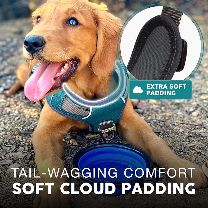 Embark No Pull Dog Harness, Reflective Adjustable Training Vest, No Choke | Adjustable straps fit all dog breeds with sturdy hooks; 360° reflective trim, soft padded Harness Design for All Dogs - Image 4