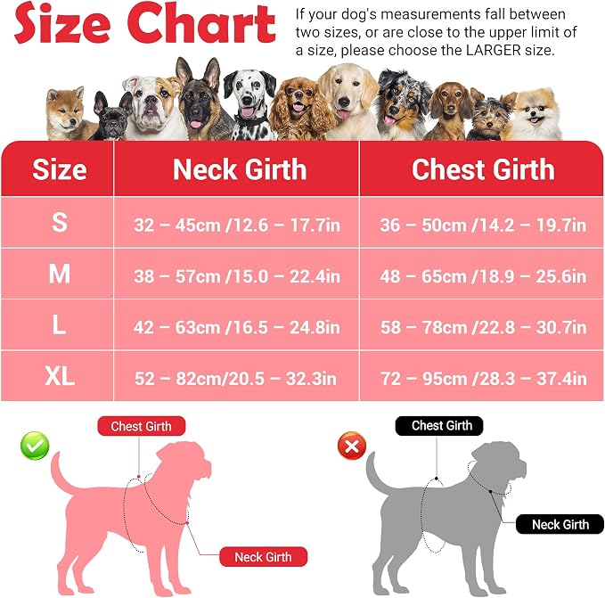 Dog Harness No Pull, Adjustable Pet Vest Harness, Super Soft Material with Vertical Handle Easy Control, Reflective Night Walking, 2 Leash Clips for XLarge Dogs, Red, XL - Image 2