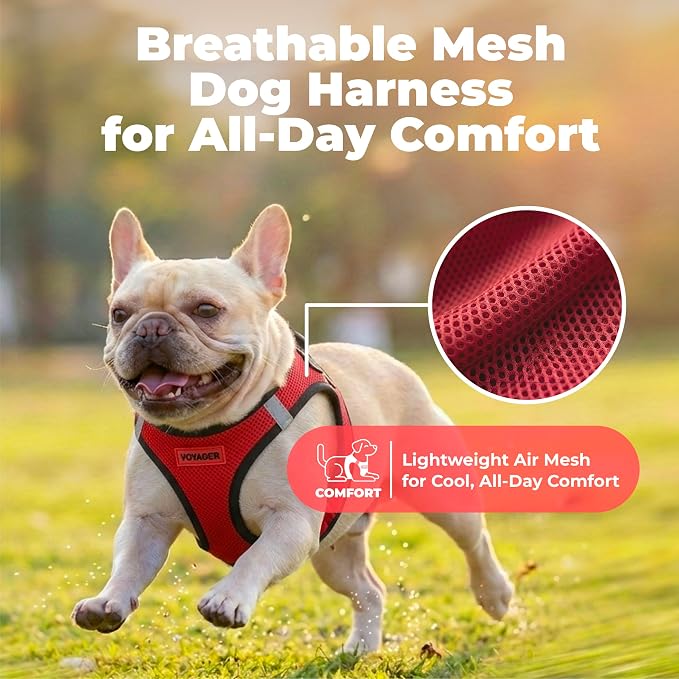Voyager Step-in Air Dog Vest Harness - Red/Black Trim, Small | 14.5-16" in Chest, Reflective Bands, All Weather Breathable Air Mesh, Cats Compatible, Lightweight, Fast Drying - Image 5