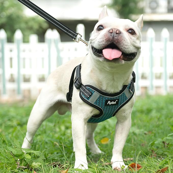 PUPTECK Dog Harness and Leash Set Small Sized, Step in No Pull Adjustable Puppy Cat Harness Reflective Pet Vest - Image 5