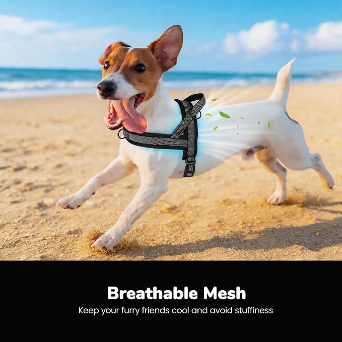 No Pull Dog Harness for Small Dogs, Breathable Mesh Padded, Black, S | Quick Fit, Easy On and Off, Adjustable, Reflective Vest Harness for Night Safty, Easy for Walking and Training, Chest 18-22" - Image 2
