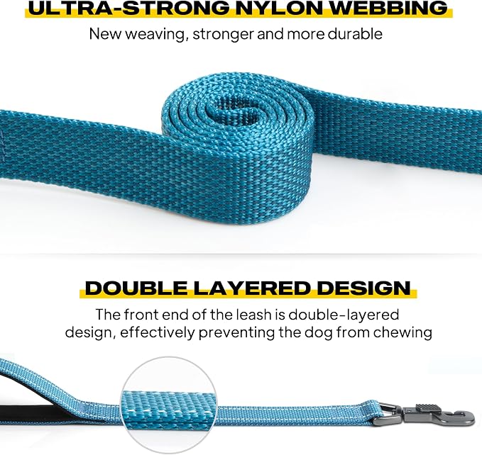 Fida Heavy Duty Dog Leash for Medium Large Dogs, 4 FT, Dual Padded Handles | Traffic Handle for Close Control, Advanced Easy Snap Hook, Reflective, Strong Nylon Webbing for Daily Walks & Training, Blue - Image 3