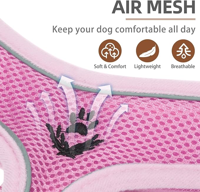 PUPTECK Small Dog Harness and Leash Set No Pull for XS XXS Sized Dogs Puppy | Escape Proof No Choke Pet Cat Adjustable Soft Padded Walking Vest - Image 2