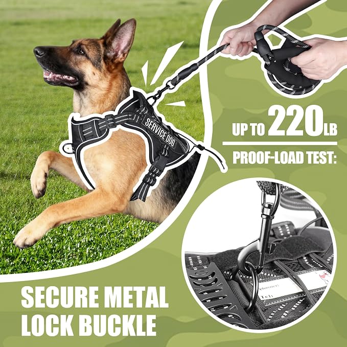 3-in-1 Dog Vest Harness Leash Set for Daily,Service,Training Animal Medium - Image 4