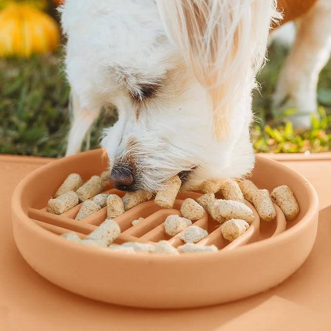 Should We Go? Slow Feeder Dog Bowls - Small Size Silicone Slow Eating Dog Bowl for Puppies & Dogs with Suction Cup -Dishwasher-Safe,Lick Mat Design,Reduces Gulping,for All Breeds, 6”x1.25”-Terracotta - Image 5