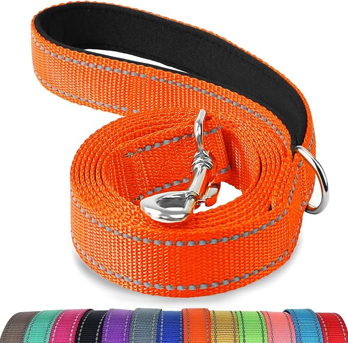Joytale Reflective Dog Leash for Medium & Large Dogs, 4 FT x 1", Orange | Heavy Duty Nylon Webbing, Padded Handle for Comfort, Visible at Night, for Walking & Training by Joytale