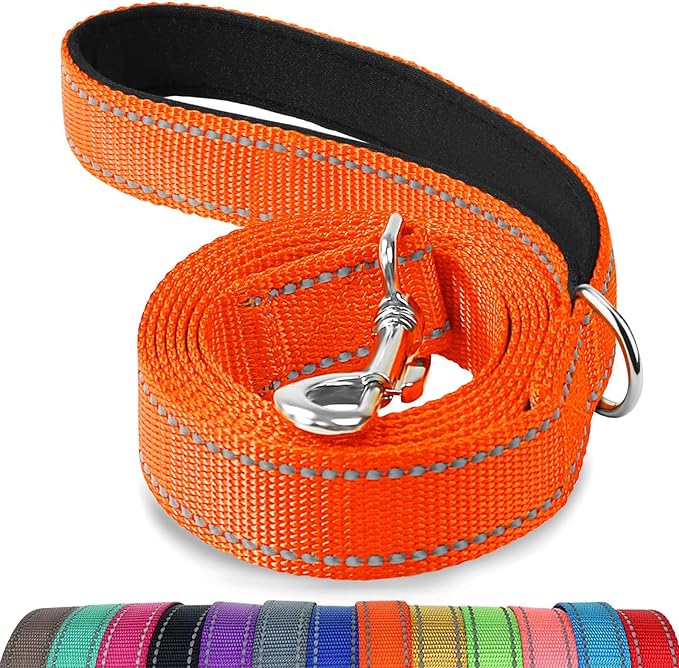 Joytale Reflective Dog Leash for Medium & Large Dogs, 6 FT x 1", Orange | Heavy Duty Nylon Webbing, Padded Handle for Comfort, Visible at Night, for Walking & Training by Joytale