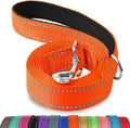 Joytale Reflective Dog Leash for Medium & Large Dogs, 5 FT x 1", Orange | Heavy Duty Nylon Webbing, Padded Handle for Comfort, Visible at Night, for Walking & Training by Joytale