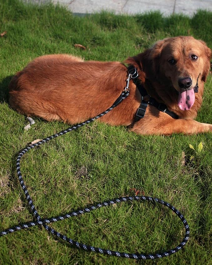 Long Dog Leash for Dog Training 10FT 16FT/30FT/50FT/100FT, Reflective Threads Rope Dog Leash, Heavy Duty Dog Lead for Large Medium Small Dogs Walking Playing, Camping, or Yard - Image 8