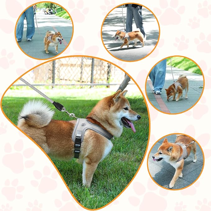 Dog Harness and Leash Set, No Pull Saddle Style Pet Harness, Breathable Mesh Adjustable Reflective Dog Vest for Medium Small Dogs Harness 2 D-Rings, Grey, XS - Image 6