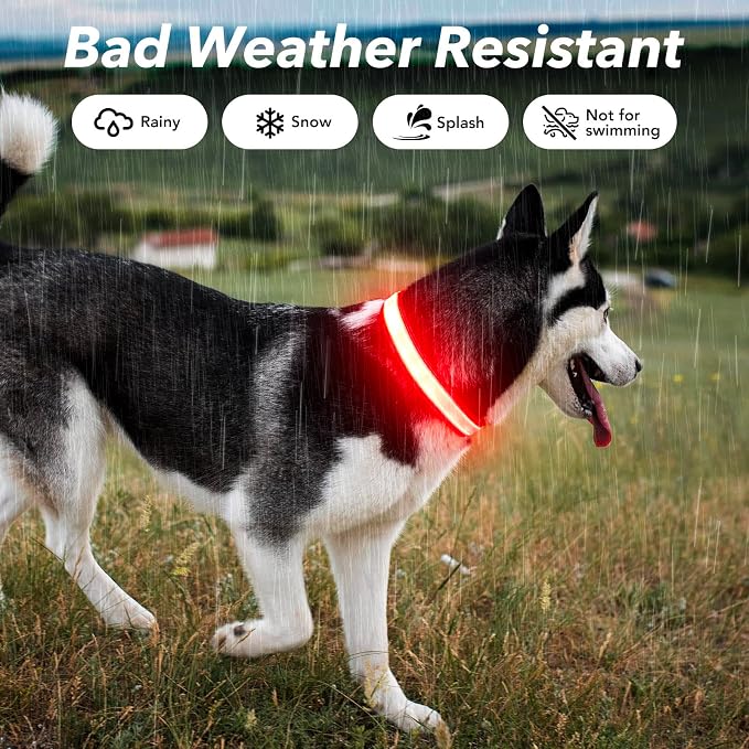 Visinite Light Up Dog Collar, Reflective LED Dog Collar, Adjustable Lighted Dog Collars Rechargeable Waterproof, Bright Dog Glow Collar for Pet Safety at Night Walking, Fit Large Medium Dogs - Image 4