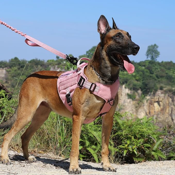 ICEFANG Tactical Dog Harness,for X-Large Dogs,Reflective No Pull Dog Vest | with Control Handle, Adjustable,Front Hook,2 Leash Clips,No Choke,Soft Padded,MOLLE Panel,Pink,X-Large - Image 2