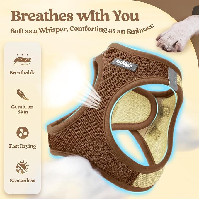 rabbitgoo Dog Harness Small Sized and Leash Set, Step-in Puppy Pet Vest | Light, Soft, Breathable Air Mesh, Easy on and Remove with Hook & Loop, Secure Reflective for Walking, Brown & Beige S - Image 3