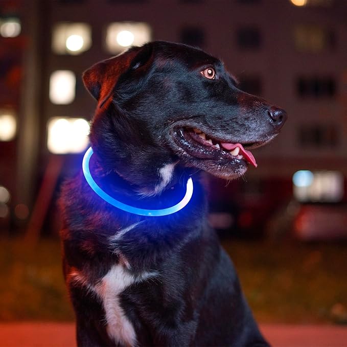 Light up Dog Collar, BSEEN USB Rechargeable Led Flash Dog Necklace | Pet Safety Collar Makes Your Beloved Dogs Be Seen at Night for Small Medium Large Dogs( Blue) - Image 6