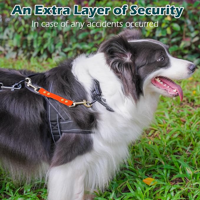 PetBonus Dog Collar Safety Clip, Waterproof Backup Safety Strap | Prong Collar to Harness Connector, Escape Proof, Odor Proof, Easy to Clean, Double Ended Clasp for Training Walking, Orange - Image 4