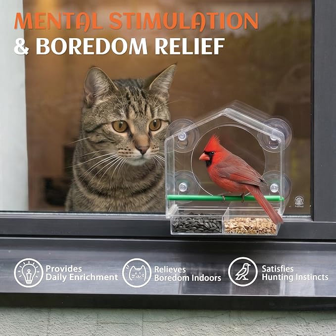 Cat Window Bird Feeder for Indoor Cats, Bird Watching TV for Cats | Clear Acrylic Outdoor Bird Feeding Station with Strong Suction Cups for Enrichment, Mental Stimulation & Boredom Relief - Image 3