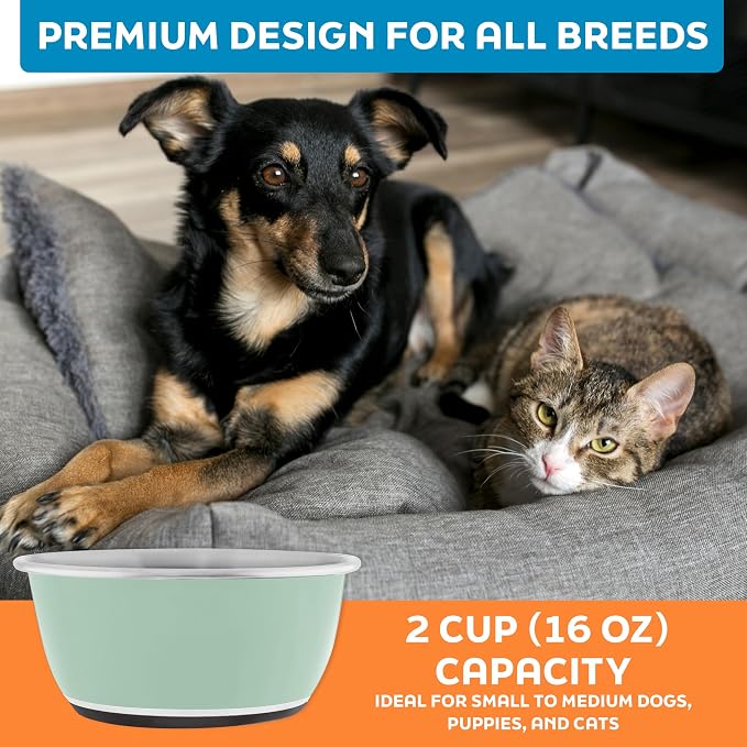 Master Pet Supply Stainless Steel Dog Bowls Set of 2 - Pistachio - 16 Oz | Non-Slip Rubber Base, Basic Dog Food Bowl Water & Food Bowls for Small, Medium, Large Dogs & Cats Metal Dish - Image 7