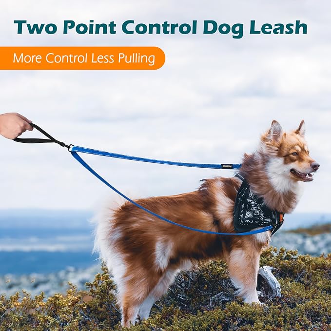 PetBonus Two Point Control Dog Leash, No Tangle Training Walking Leashes | Soft Padded Handle, Reflective, Works with No Pull Harnesses, Converts to Single Lead for Medium Large Dogs, Blue - Image 2