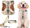 PUPTECK Adjustable Pet Harness Collar &Leash Set Step in for Small Dogs Puppy &Cats Outdoor Training &Running, Soft Mesh Padded Reflective Vest Harness,M: Chest girth: 16-18in Collar: 11.8-15.7in | Plaid Puppy Step-in Escape Proof Reflective No Choke P... by PUPTECK