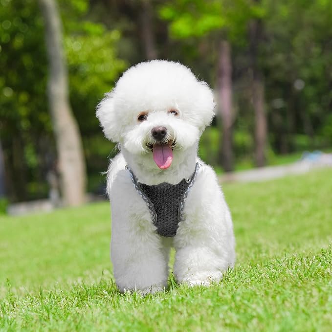 Summer Soft Dog Vest Harness and Leash Set Ultra Thin Diamond Mesh | Step in Adjustable Dog Harness with Padded Vest for Medium Size Dogs in Hot Weather Black L - Image 2