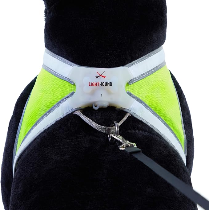 noxgear LightHound Light Up Reflective Dog Harness, Small | 360° Light Up Reflective Dog Harness, 8 Colors & 6 Modes, USB Rechargeable, Adjustable, Rainproof, LED Fiber Optic - Image 7