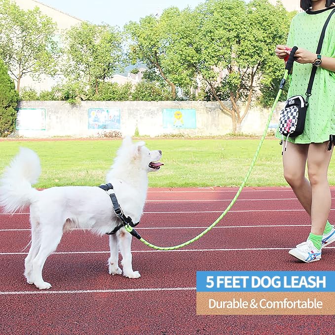 2/4/5/6 FT Dog Leash with Comfortable Padded Handle and Highly Reflective Threads for Small Medium and Large Dogs (5FT-1/2'', Green) - Image 5
