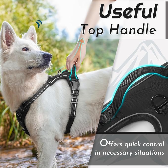 Eagloo Dog Harness for Large Dogs, No Pull Pet Vest with 2 Leash Clips | No Choke with Handle, Adjustable Comfort Fit, Reflective Strips, Easy Walking Control, Black, X-Large - Image 4