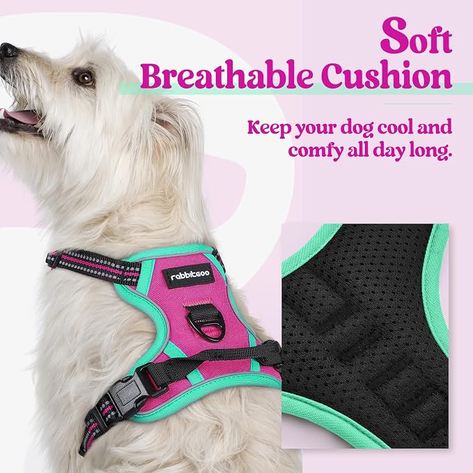 rabbitgoo Dog Harness, No Pull for Small Dogs with 2 Leash Clips, Pet Vest | No Choke with Handle, Adjustable Soft Padded, Reflective, Easy Control for Walking, Hot Pink & Turquoise, X-Small - Image 2