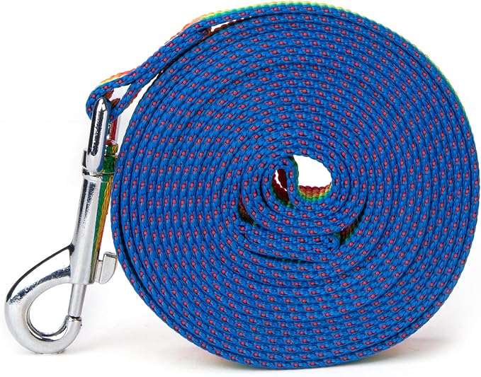 Strong Durable 6 ft Nylon Dog Training Leash, 1 Inch Wide Traction Rope, for Small and Medium Dog (Rainbow, 6 Feet) - Image 9