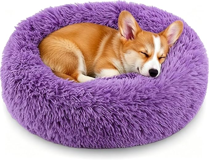 Calming Donut Dog and Cat Bed for Indoor Cats, Anti-Anxiety Round Fluffy Soft Washable Small Pet Bed for Puppy and Kitten, Warming Comfortable Luxury Anti-Slip Waterproof Mute Base 20in Purple by Homeuslynn