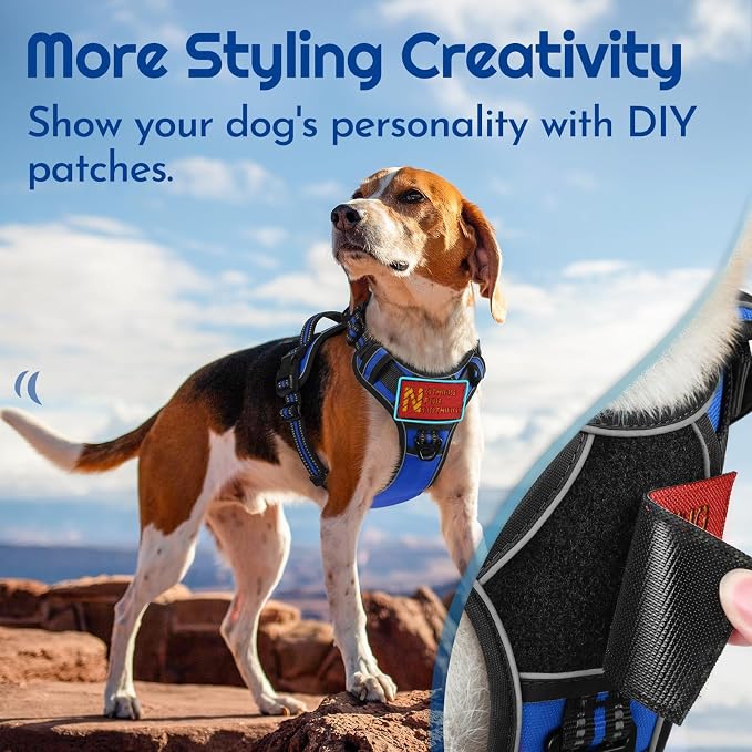 Eagloo Dog Harness No Pull for Large Dogs, Easy On & Off with 3 Buckles | No Choke with Front Clip, Adjustable Fit, MOLLE System, Reflective Vest, Easy Control for Walking, Black & Blue, X-Large - Image 4