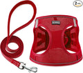 Dog Harness with Leash Set, Step-in Adjustable Puppy Pet Vest, Red XS | Lightweight Breathable Air Mesh, Night Safety Reflective, No Pull Puppy Vest Harnesses for Small Medium Large Dogs, Cats by BOOMIBOO