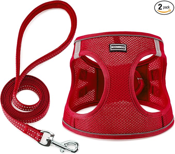 Dog Harness with Leash Set, Step-in Adjustable Puppy Pet Vest, Red XS | Lightweight Breathable Air Mesh, Night Safety Reflective, No Pull Puppy Vest Harnesses for Small Medium Large Dogs, Cats by BOOMIBOO