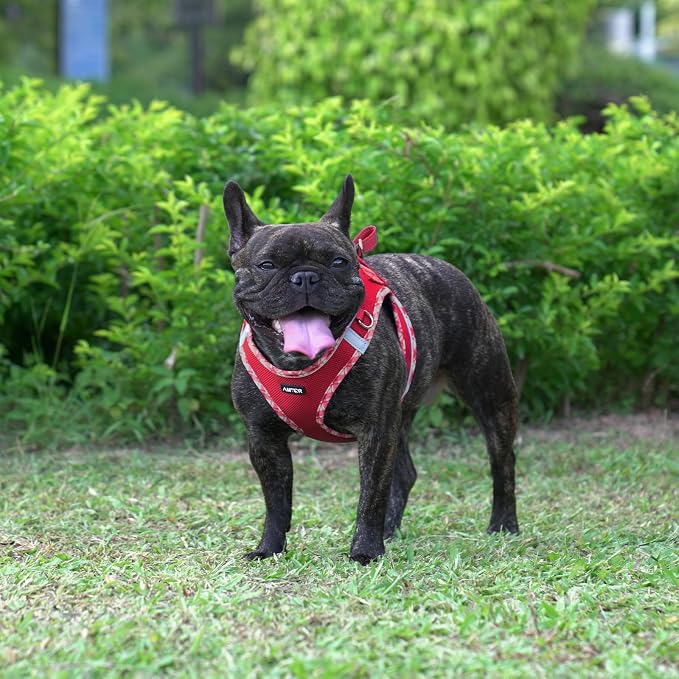 AMTOR Small Dog Harness with Leash Set, No Escape Easy Walk Puppy Harnesses for Training Walking, Step-in Reflective Soft Dogs Vest for XS S Medium Extra-Small Large Sized Dog(Red/White,XXS) - Image 5