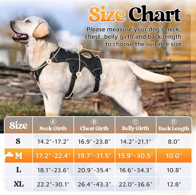 rabbitgoo Escape Proof Dog Harness for Medium, No Pull with Lift Handle | No Escape, Full Soft Padded, Reflective Adjustable Vest, Leash Clip for Walking Hiking Training, Black, Medium - Image 2