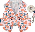 BAEJMJK Dog Harness and Leash Set with Bow Knot No Pull Pet Floral Harness with D-Ring Soft Mesh Dog Harness Vest Set Escape Proof Princess Puppy Harness for Small Girl Dogs Cats（Orange L） by BAEJMJK