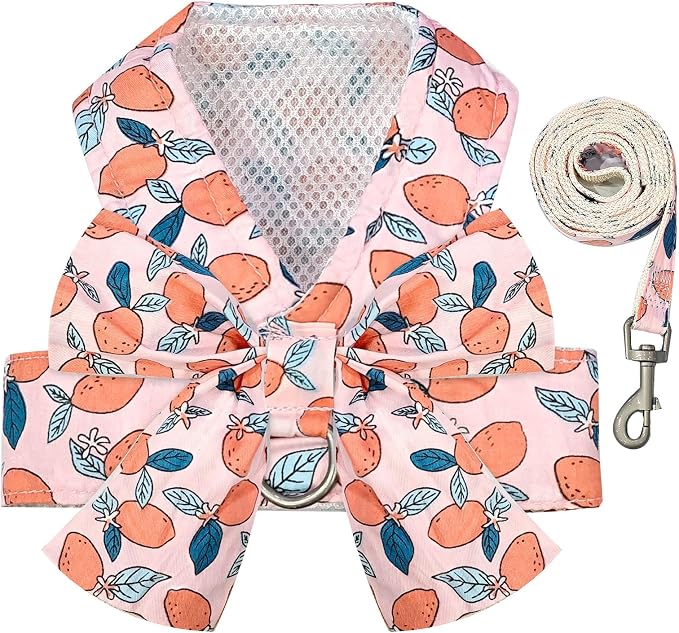 BAEJMJK Dog Harness and Leash Set with Bow Knot No Pull Pet Floral Harness with D-Ring Soft Mesh Dog Harness Vest Set Escape Proof Princess Puppy Harness for Small Girl Dogs Cats（Orange L） by BAEJMJK