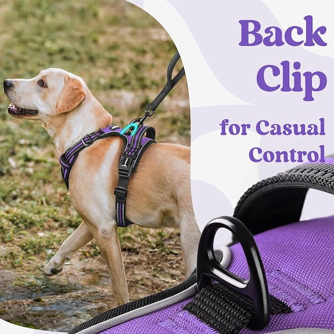 rabbitgoo Dog Harness Small Sized, Updated Easy On & Off with 3 Buckles | No Pull No Choke, Walking with 2 Clips and Handle, Adjustable Soft Reflective, Purple, Small - Image 6