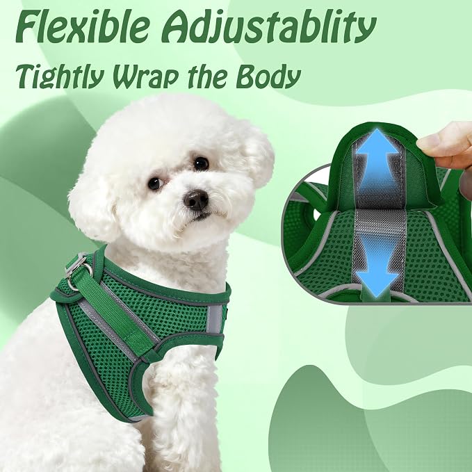 AIITLE Small Dog Harness and Leash Set, Step-in Puppy Pet Vest, Green XXS | Breathable Mesh, Adjustable Fit, Reflective Design, Padded Leash Handle, for Small-Medium Dogs & Cats, Walking, Training - Image 5