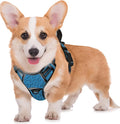 BARKBAY No Pull Dog Harness Large Step in Reflective Dog Harness with Front Clip and Easy Control Handle for Walking Training Running with ID tag Pocke(Blue/Black,M by BARKBAY