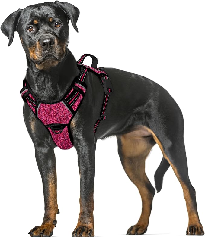 BARKBAY No Pull Dog Harness Large Reflective Dog Harness with Front Clip and Easy Control Handle for Walking Training Running with ID tag Pocket(Pink/Black,XL) by BARKBAY