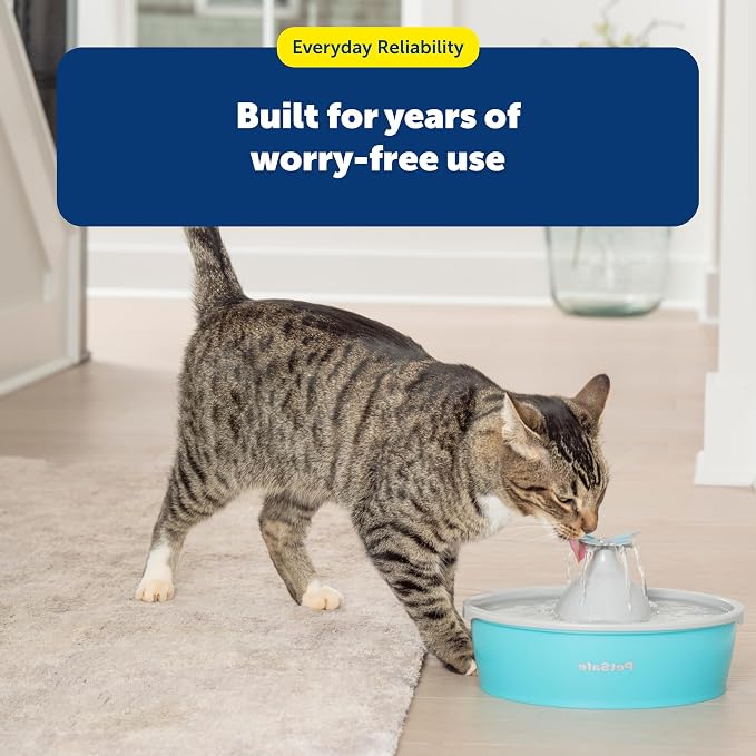 PetSafe Butterfly Cat Water Fountain, Pump & Filters, 50 oz Capacity | Butterfly Topper Creates 4 Water Streams, Replaceable Carbon and Foam Filter Keep Water Fresh and Clean - Image 7